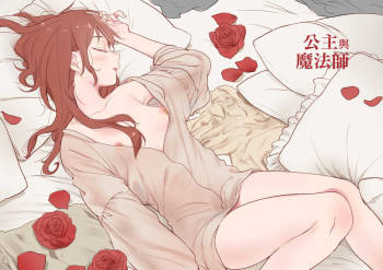 公主與魔法師 cover
