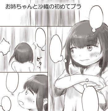 Onee-chan to Saori no Hajimete Bra cover