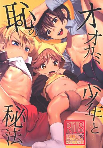 Ookami Shounen to Haji no Hihou cover
