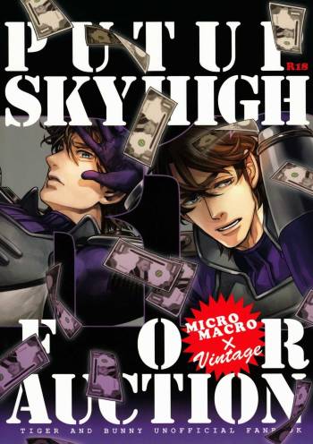 PUT UP SKYHIGH FOR AUCTION cover