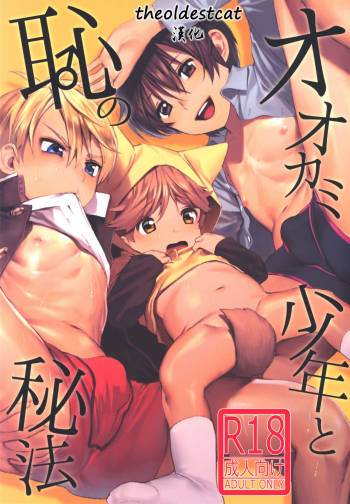 Ookami Shounen to Haji no Hihou cover