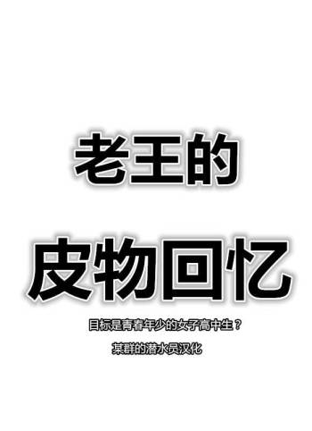 Skin recollection（潜水员汉化） cover