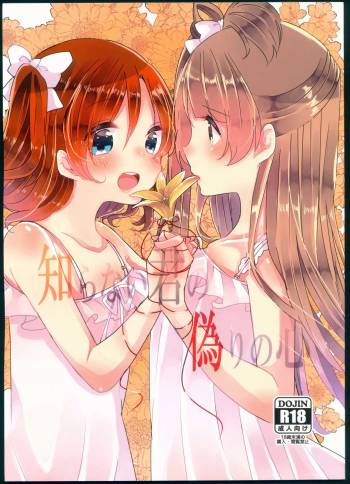 Shiranai Kimi no Itsuwari no Kokoro cover