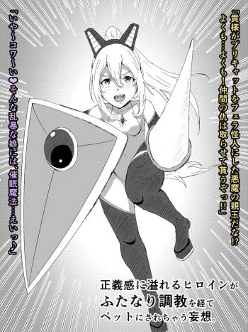 戦うヒロインがふたなり調教を経てペットにされちゃう妄想。 cover