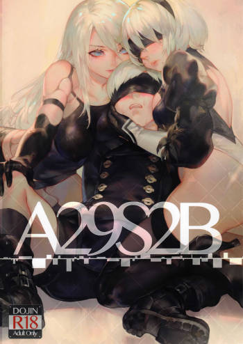A29S2B cover