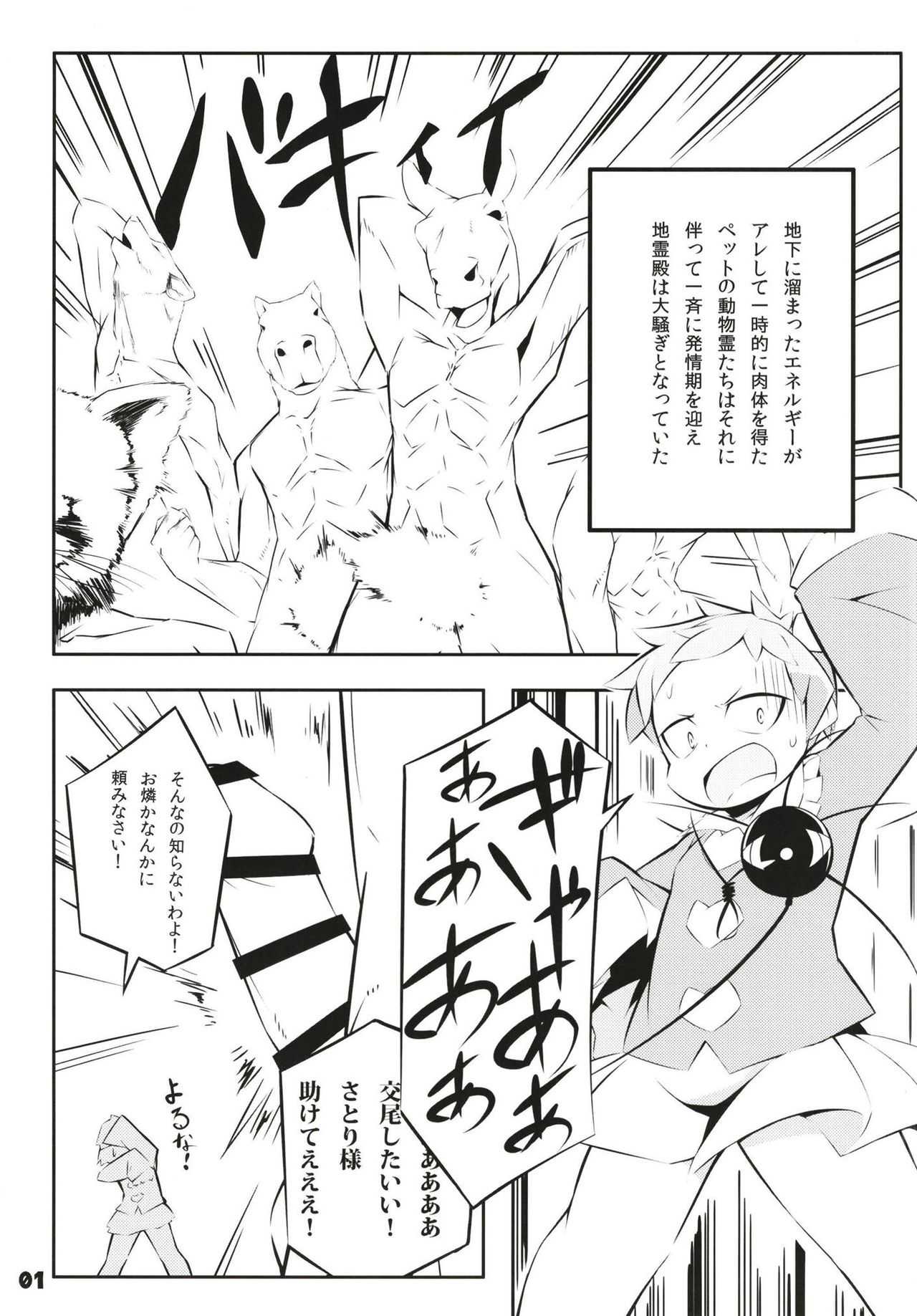 Super Dekorix page 3 full