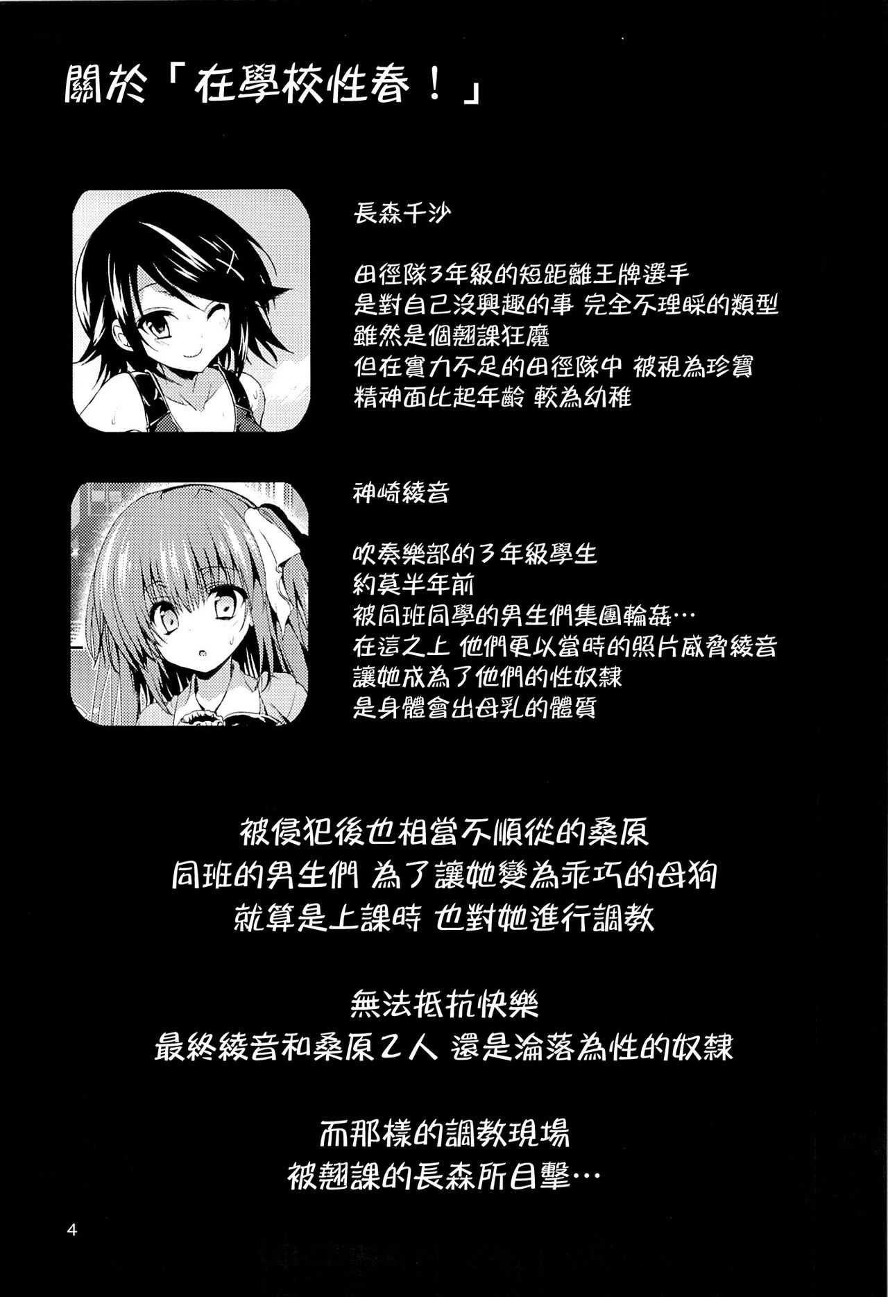 Gakkou de Seishun! 8 page 3 full