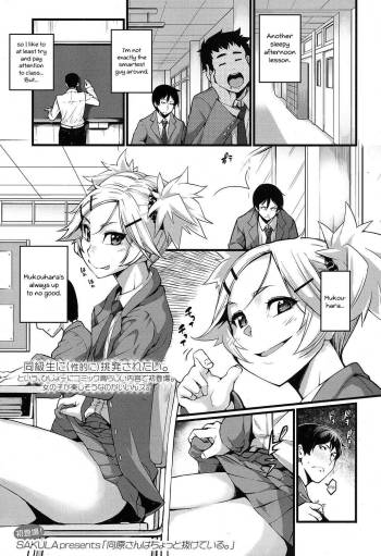 Mukouhara-san is A Little Distracting cover
