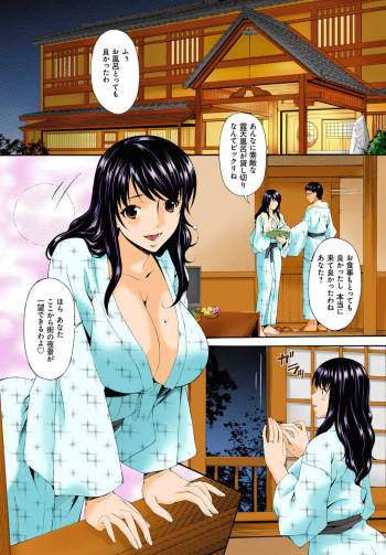 Hametorare Full Color cover
