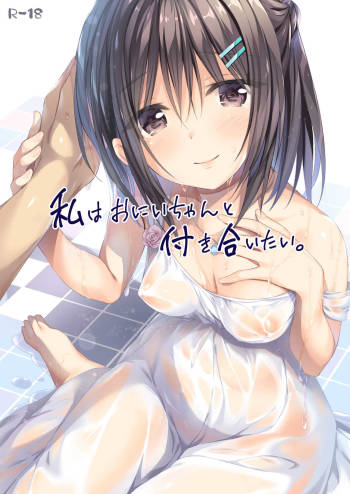 Watashi wa Onii-chan to Tsukiaitai. cover