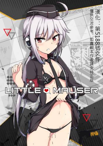 Little Mauser cover