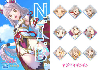 N.I.B. cover