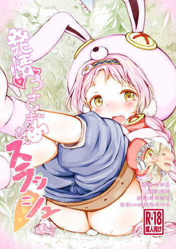 Hatsujou Usagi-san Slash cover