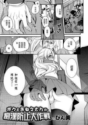 Boku to Onee-san no Chikan Boushi Daisakusen cover