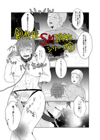 SM調教漫画③夜のお散歩編 cover