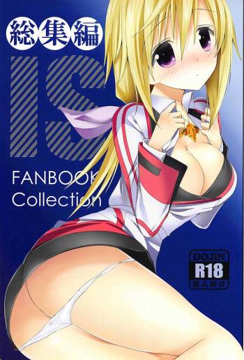 IS総集編 cover