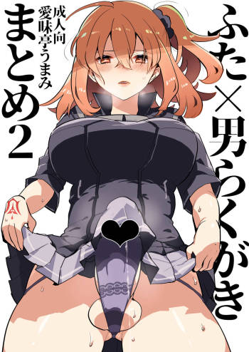 Futa x Otoko Rakugaki Matome 2 Fate Hen cover