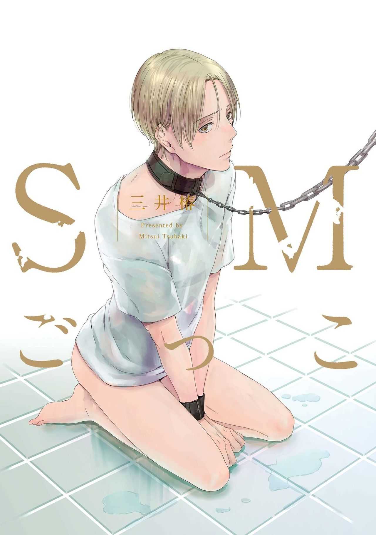 SM gokko page 3 full