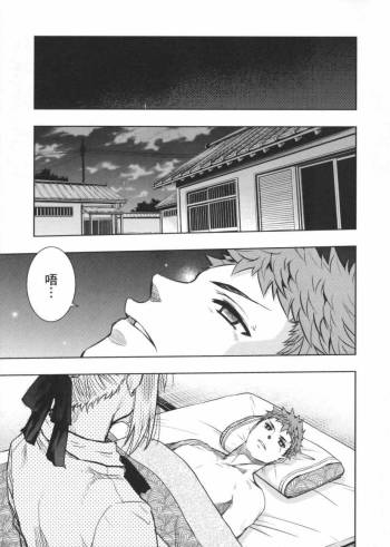 fate R18一夜之夢 cover