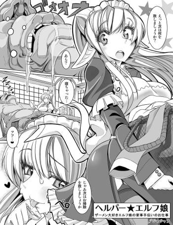 Helper☆ Elf Maid cover