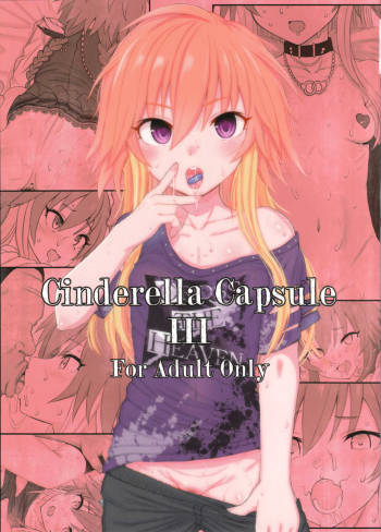 Cinderella Capsule 3 cover