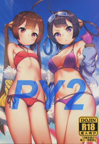 PY2 cover