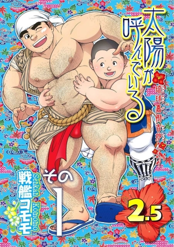 Taiyou ga Yonde Iru 2.5 cover