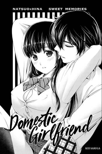 Domestic na Kanojo Chapter 164.7 cover