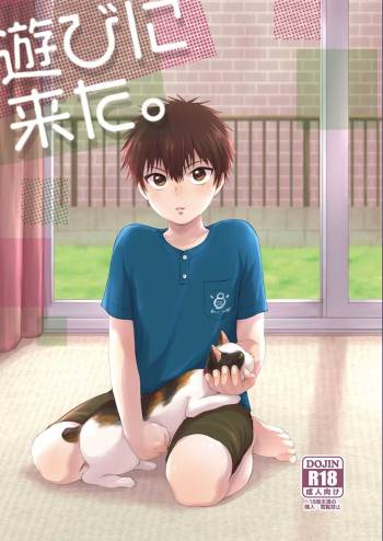 Asobi ni Kita. cover