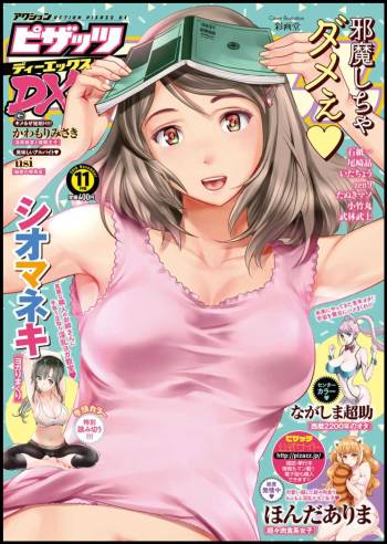 Action Pizazz DX 2018-11 cover