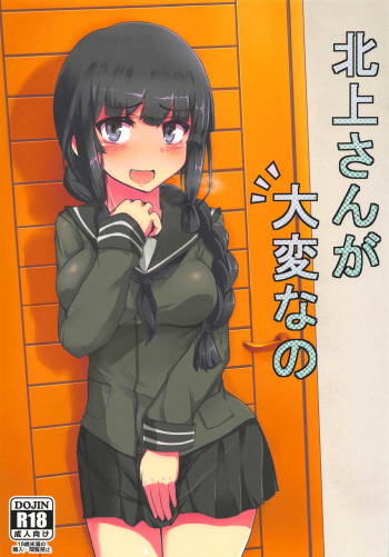 Kitakami-san ga Taihen nano cover