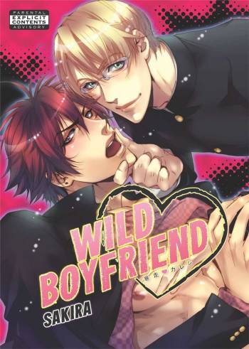 Wild Boyfriend cover