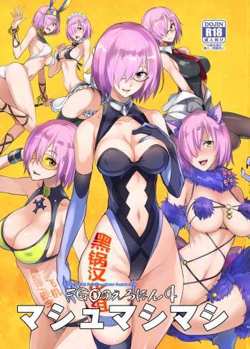 FGO no Erohon 4 cover
