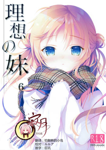 Risou no Imouto 6 cover