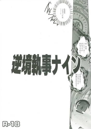 Gyakkyou Shitsuji NINE cover