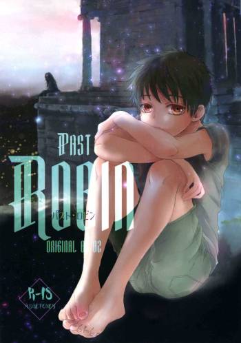 PAST ROBIN cover