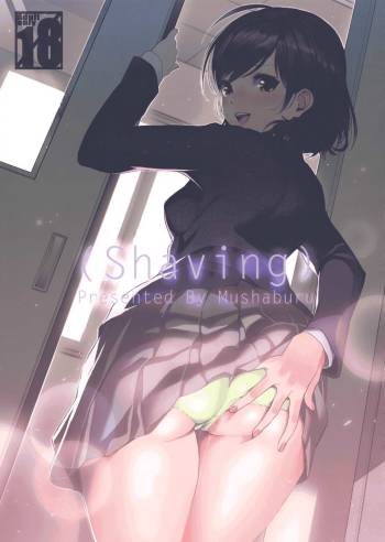 Shaving cover