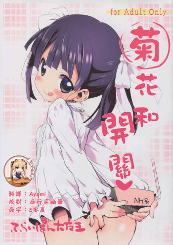 Anal to Switch cover