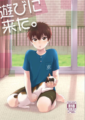 Asobi ni Kita. cover