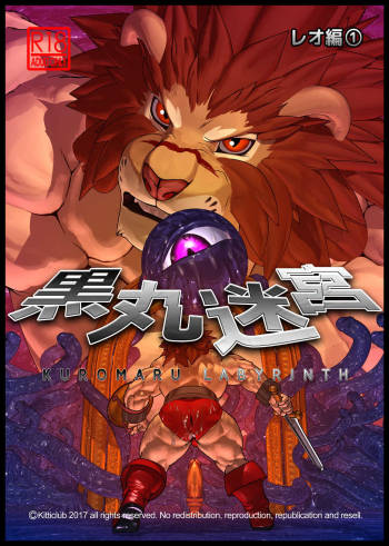 LEO in KUROMARU MAZE① cover