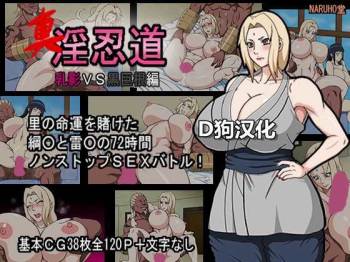 Shin In Nindou "Chichikage VS Kuro Kyokon Hen" cover