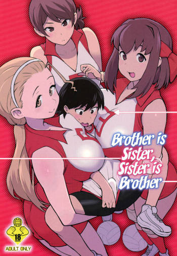 Ani ga Watashi de Watashi ga Ani de | Brother is Sister, Sister is Brother cover