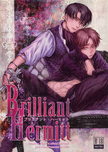 Brilliant Hermit cover