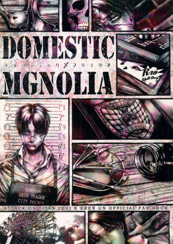 DOMESTIC MGNOLIA cover