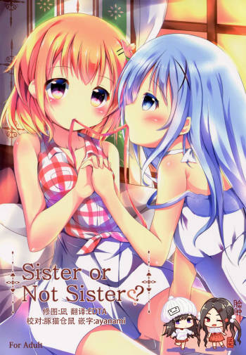 Sister or Not Sister?? cover