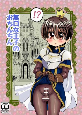 The silent prince cover