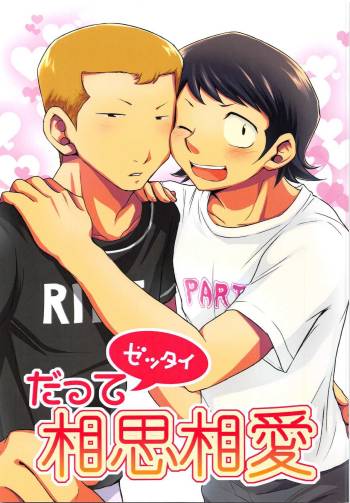 Datte Zettai Soushi Souai cover