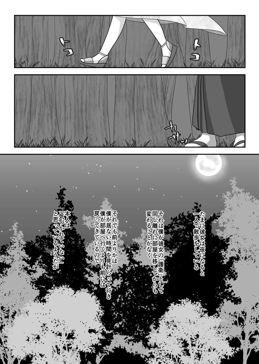 星花の万華鏡 page 3 full