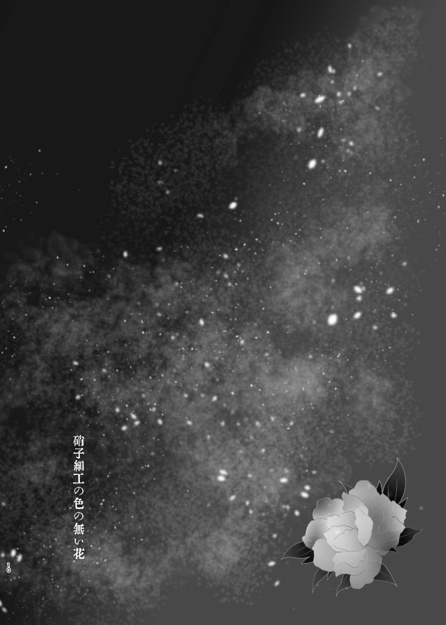 硝子細工の色の無い花 page 9 full