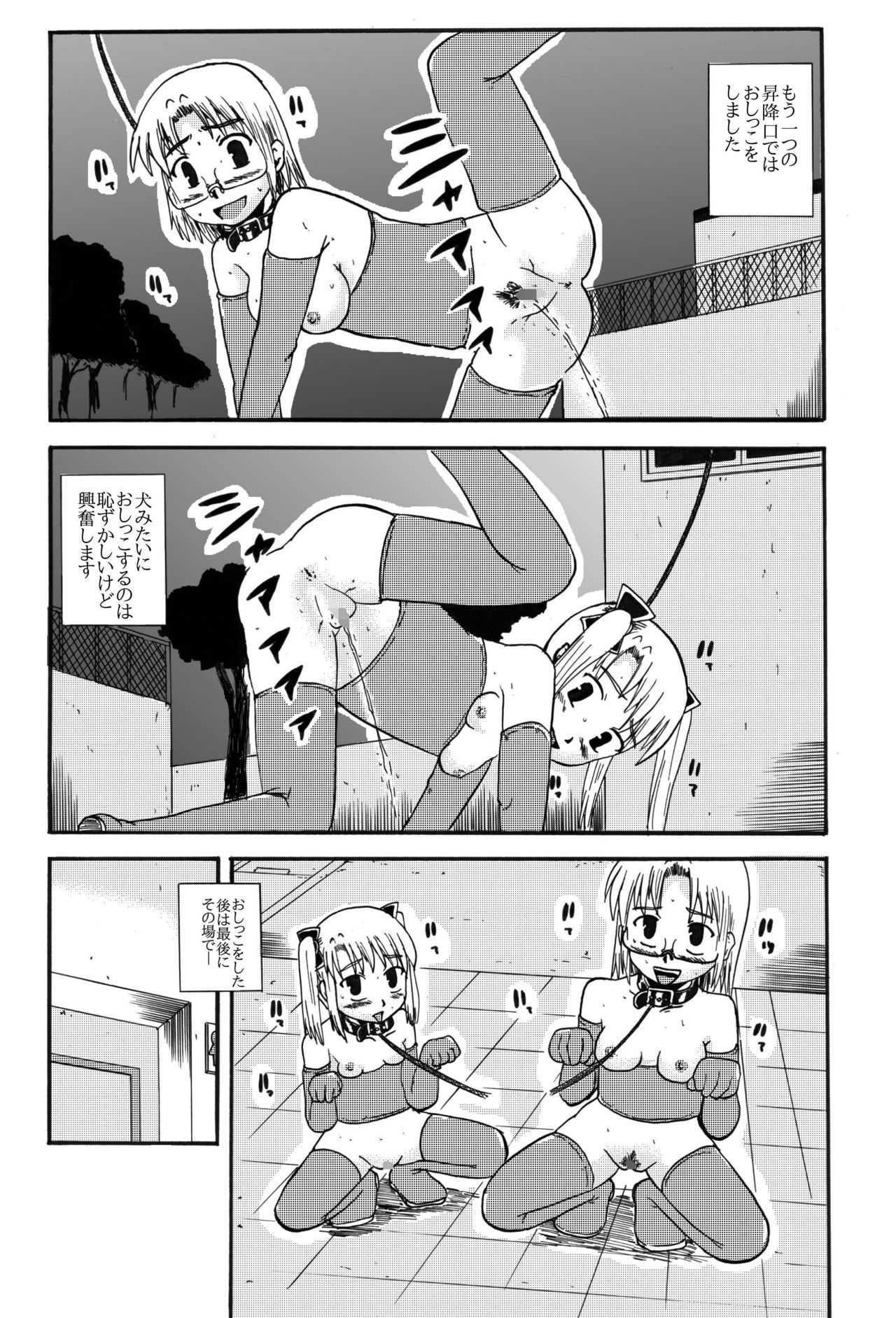 お母さんと一緒 柴野母娘の調教その2 page 9 full